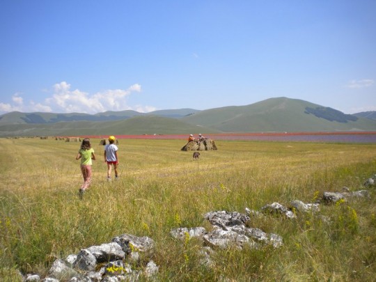 Avventura con il cane tra Umbria e Marche