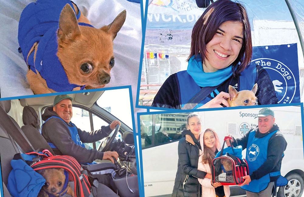 Tre donne ucraine e le loro cagnoline