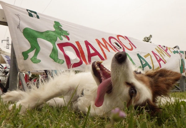 sfilata-cani-DLZ-