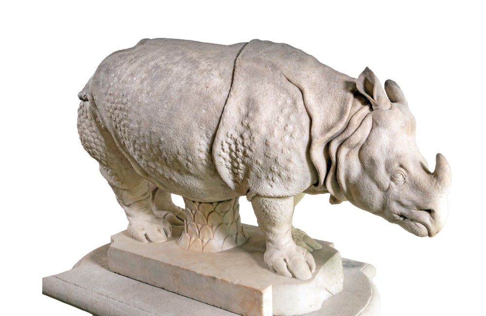 Clara, il rinoceronte triste e famoso