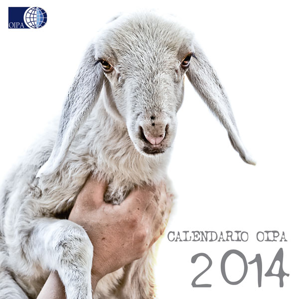 calendario-OIPA-2014