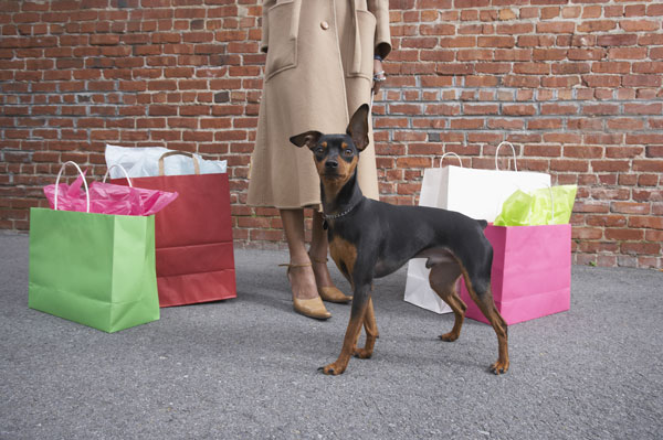 shopping-con-il-cane