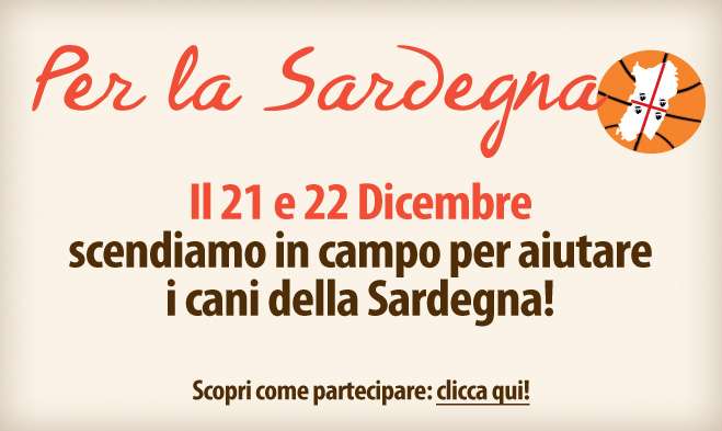 "Un assist per la Sardegna": il basket femminile per i canili della Sardegna