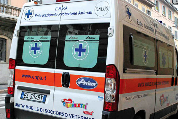 Isotta, l'unità mobile di soccorso veterinario