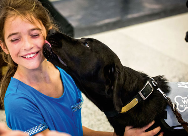 I cani-dottori dell'aeroporto americano di San Francisco,