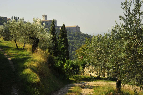 Bosco-San-Francesco,-Assisi-(PG)-©-Foto-Maja-Galli