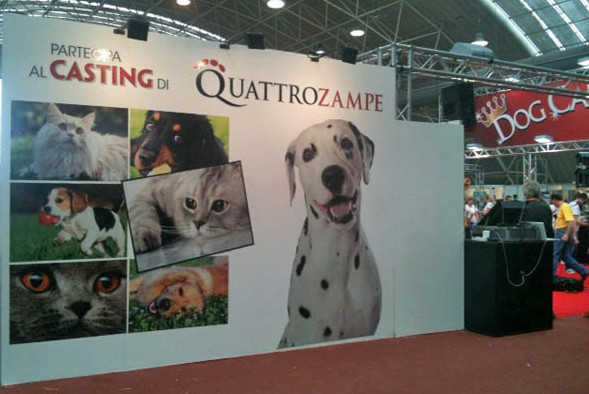 QuattroZampeinFiera, torna il casting allo stand di Quattro Zampe