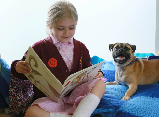 I bambini di Winkfield leggono le favole ai cani e i gatti in attesa di adozione
