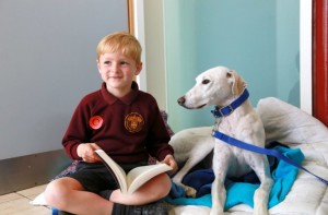 I bambini di Winkfield leggono le favole ai cani e i gatti in attesa di adozione