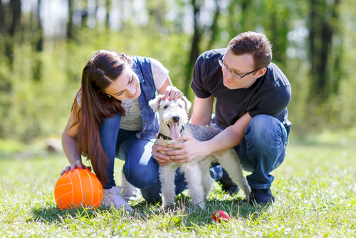 10 motivi per avere un cane