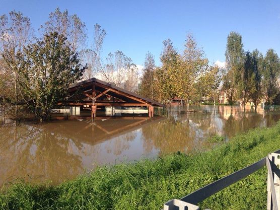 Il Parco Canile di Milano dopo l'alluvione
