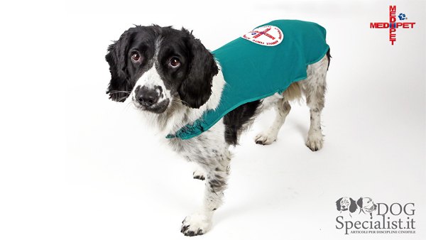 Dogspecialist presenta il copri medicazione Medipet