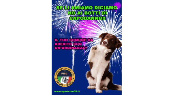 FISC no botti Capodanno