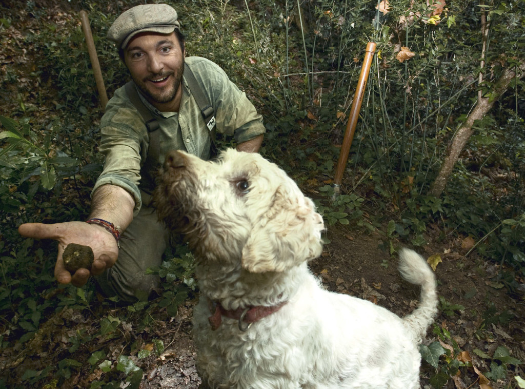 Giotto, il cane scova tartufi