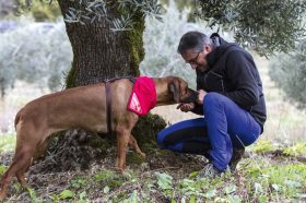 CercaTrova, un'attività ludica