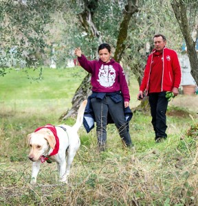 CercaTrova: il proprietario invia il cane