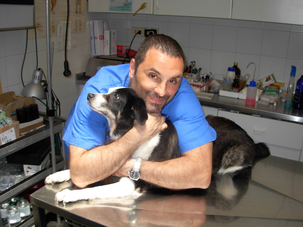 Alessandro Arrighi Veterinaria