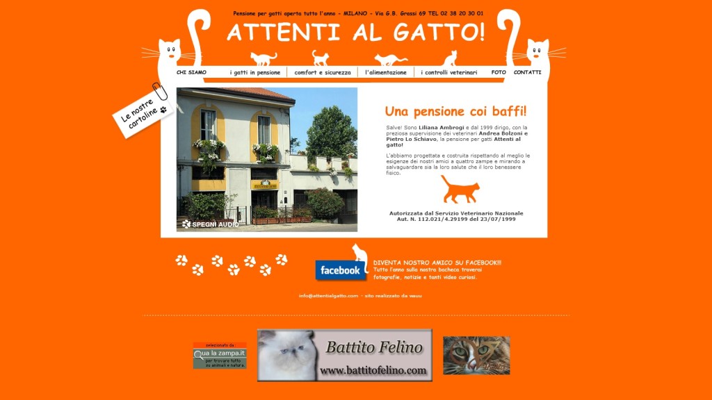 Attenti al gatto