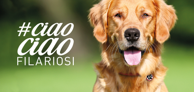 Dal Veterinario per dire #ciaociaofilariosi