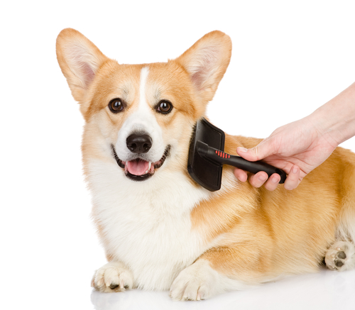 Cura del pelo