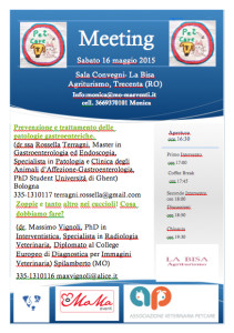 Volantino Meeting NJNP2015