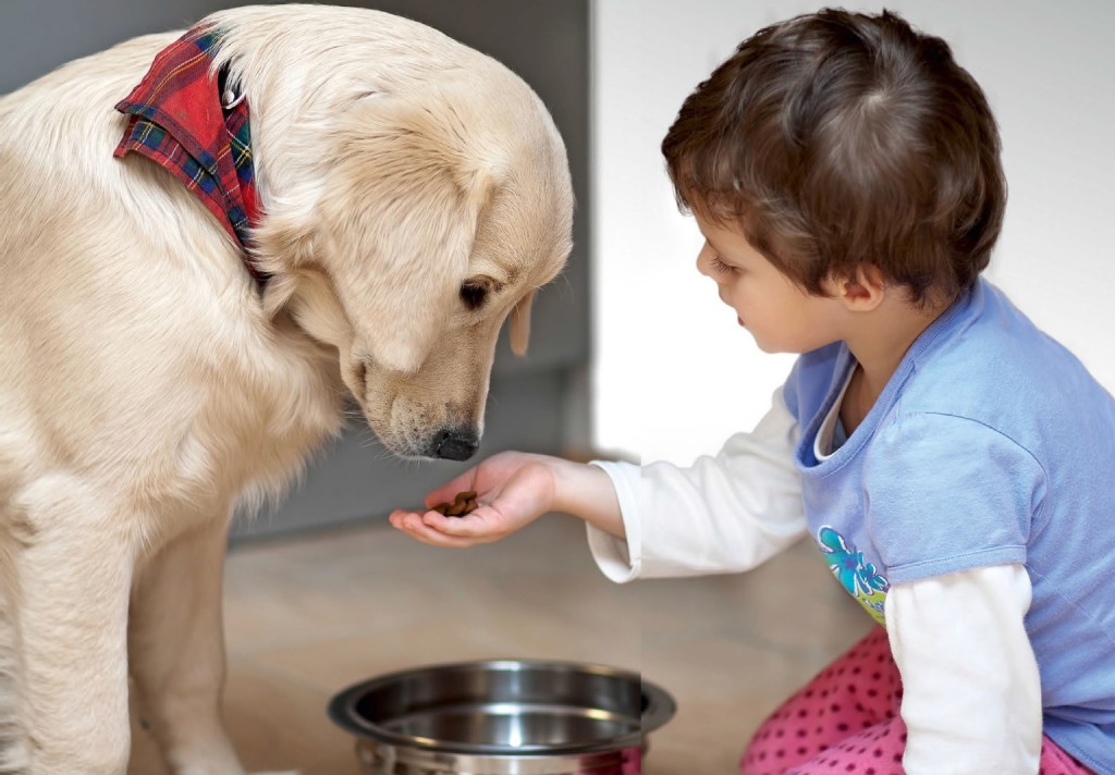 Educazione Cane Bambino