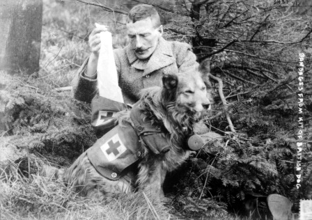 Grande Guerra, mostra animali