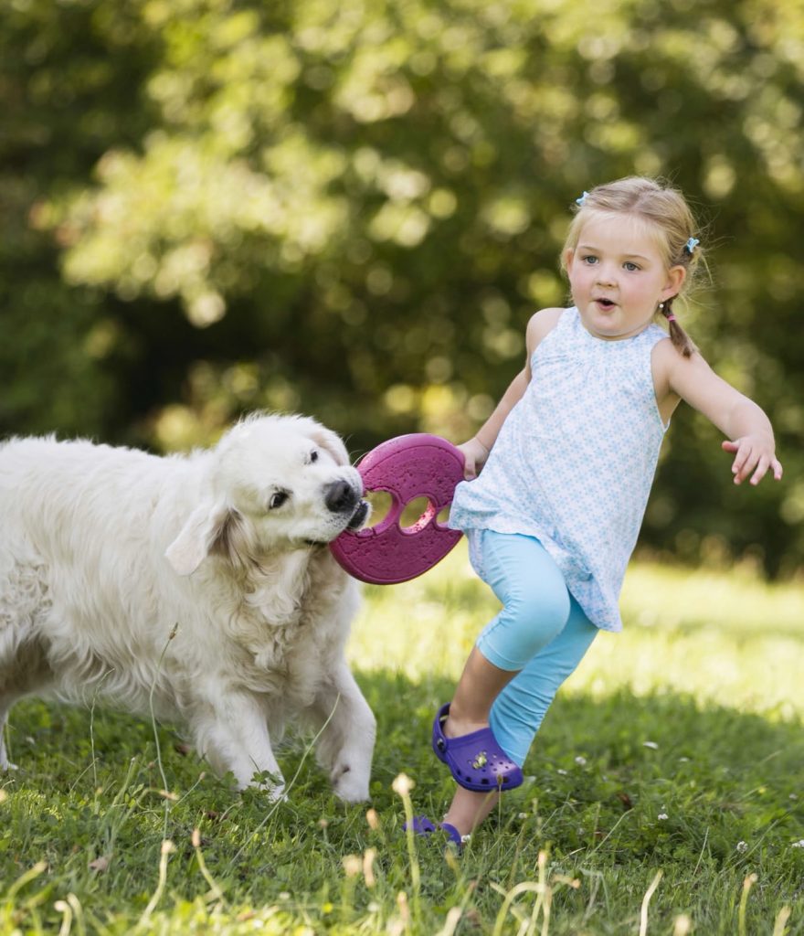 Comportamento del cane di domani