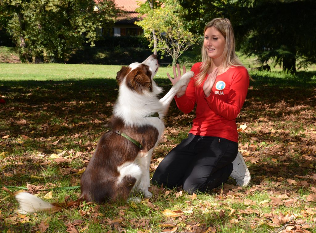 Guarda il mondo con gli occhi del tuo cane!