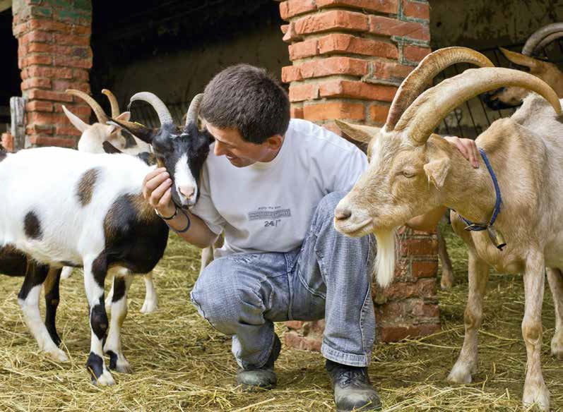 La tua voce vale: la petizione per gli animali di Gorgona