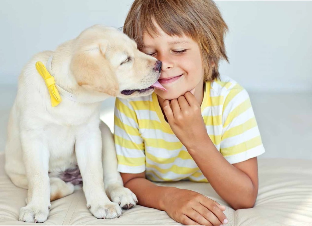 L’Uomo e il suo amore per gli animali