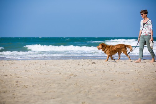 Gli Italiani in vacanza con i pet? Corrono troppi rischi