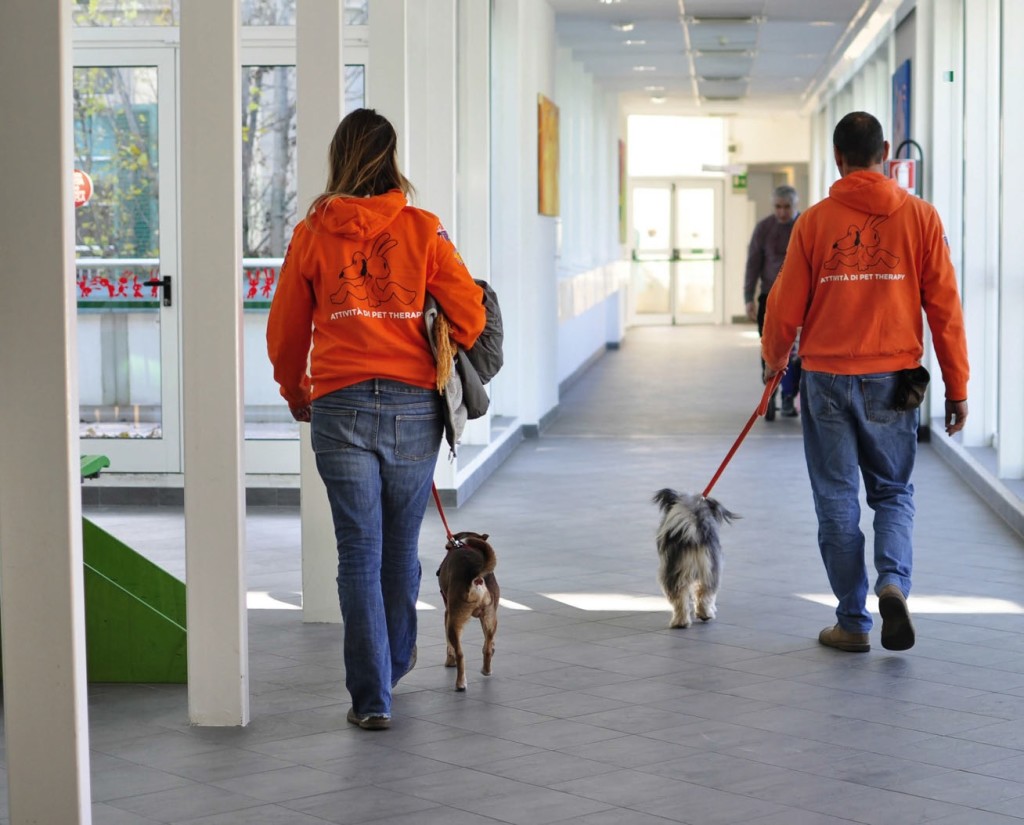 I cani dottore dell’Ospedale Meyer  