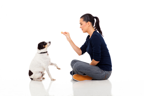 Comunicare con il cane: l'importanza del tono di voce