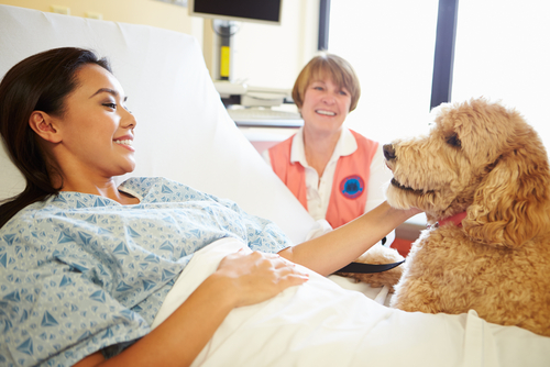 Quando l'ospedale apre la porta a fido e micio