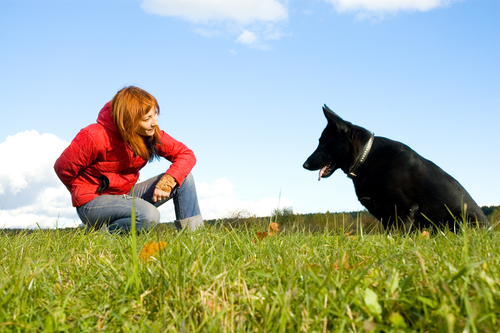 Uomo e cane: chiarezza nella comunicazione