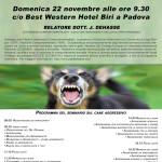 cane-aggressivo-web-nocrediti