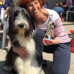 A ottobre i Bearded Collie festeggiano in spiaggia