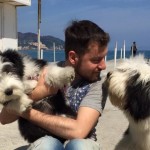 A ottobre i Bearded Collie festeggiano in spiaggia