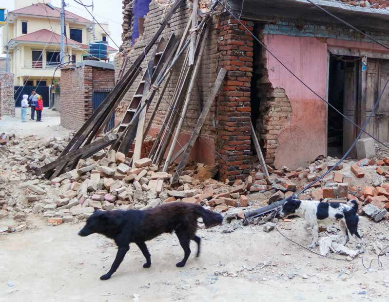 Gli angeli del Nepal