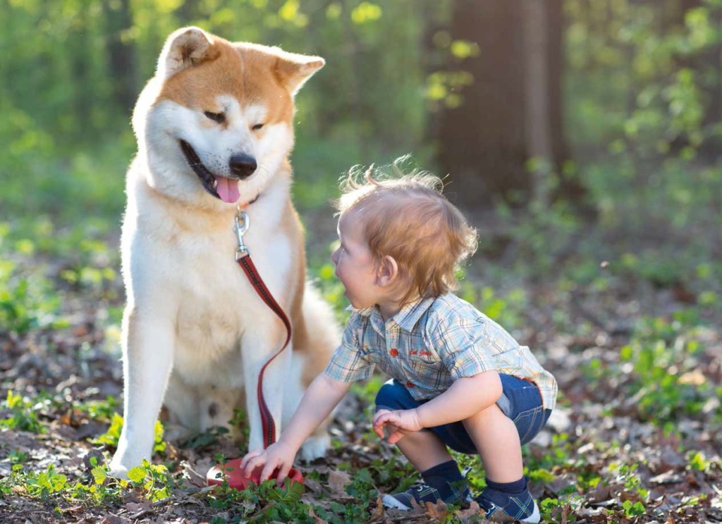 Cane: un amico fedele anche per i bambini