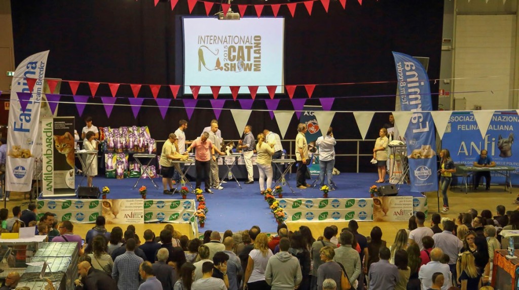 Al Cat Show 2015, gare di bellezza e solidarietà