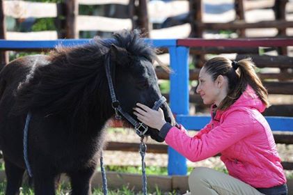 Operatore Animal Healing: al servizio di uomini e animali