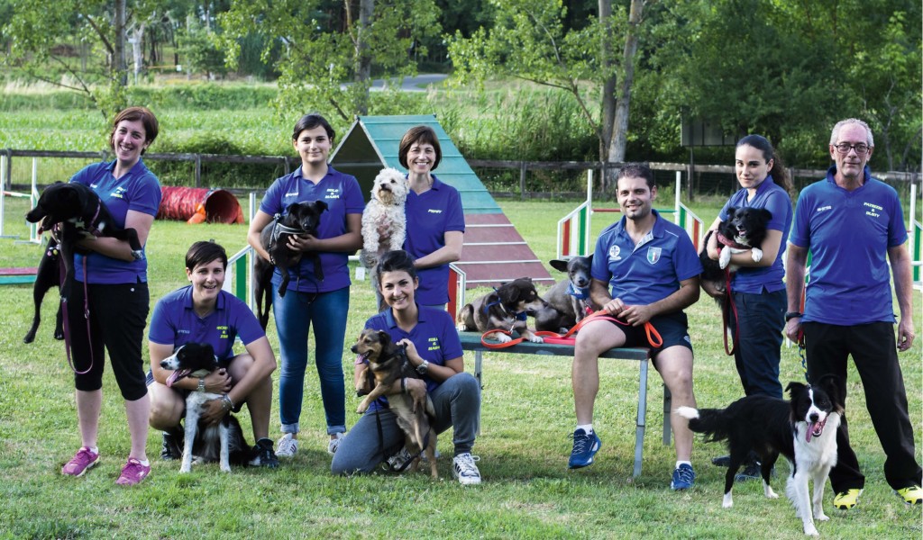 Centro Spiderdog: dove i meticci salvati fanno agility