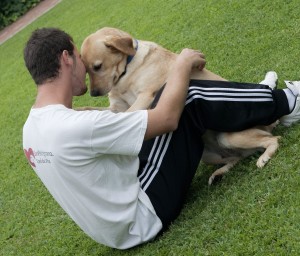 San Patrignano. Canile. Ragazzo comunità con cane razza labrador.