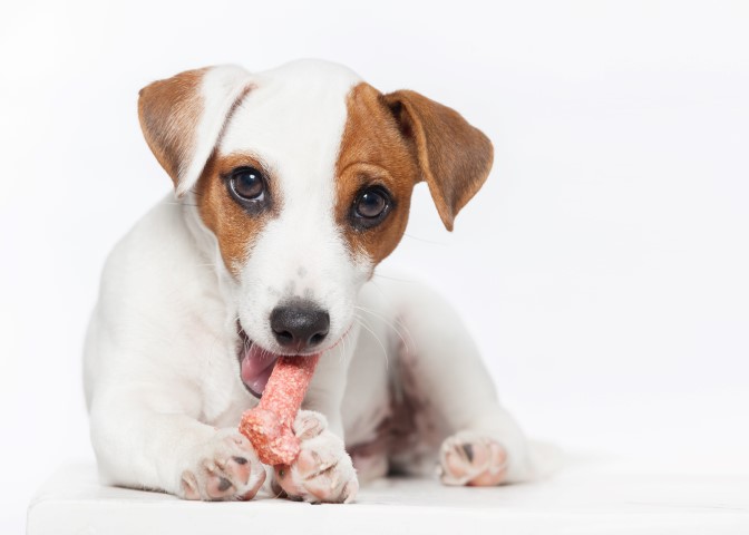 Premio o spuntino di qualità con Huba Buba