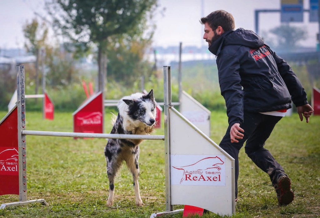 Agility al ReAlex