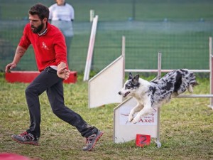 Agility al ReAlex