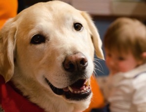 Lucky il cane da Pet Therapy