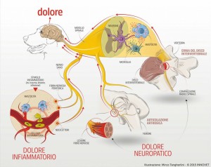 Matodi-naturali-dolore (3)